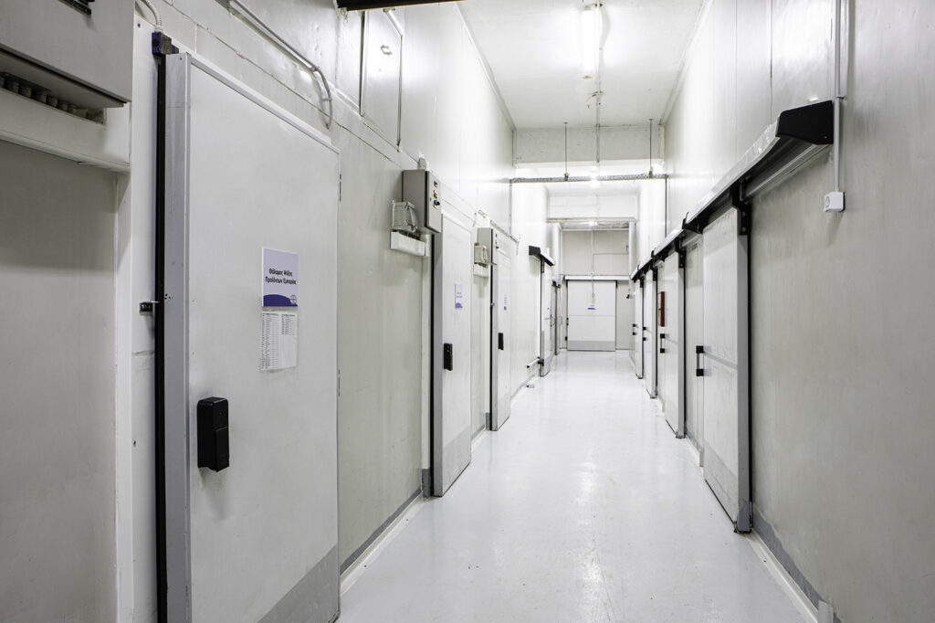 parthenope facility 3